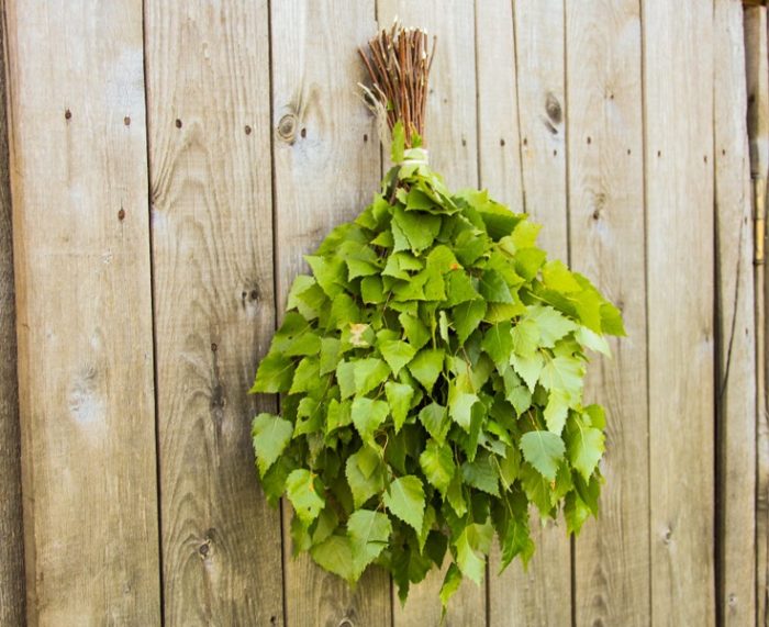 berezovye-veniki-dlja-bani