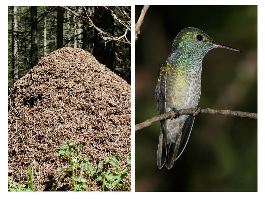 ÐÐ°ÑÑÐ¸Ð½ÐºÐ¸ Ð¿Ð¾ Ð·Ð°Ð¿ÑÐ¾ÑÑ Ð¿ÑÐ¸ÑÑ Ð¸ Ð¼ÑÑÐ°Ð²ÑÐ¸