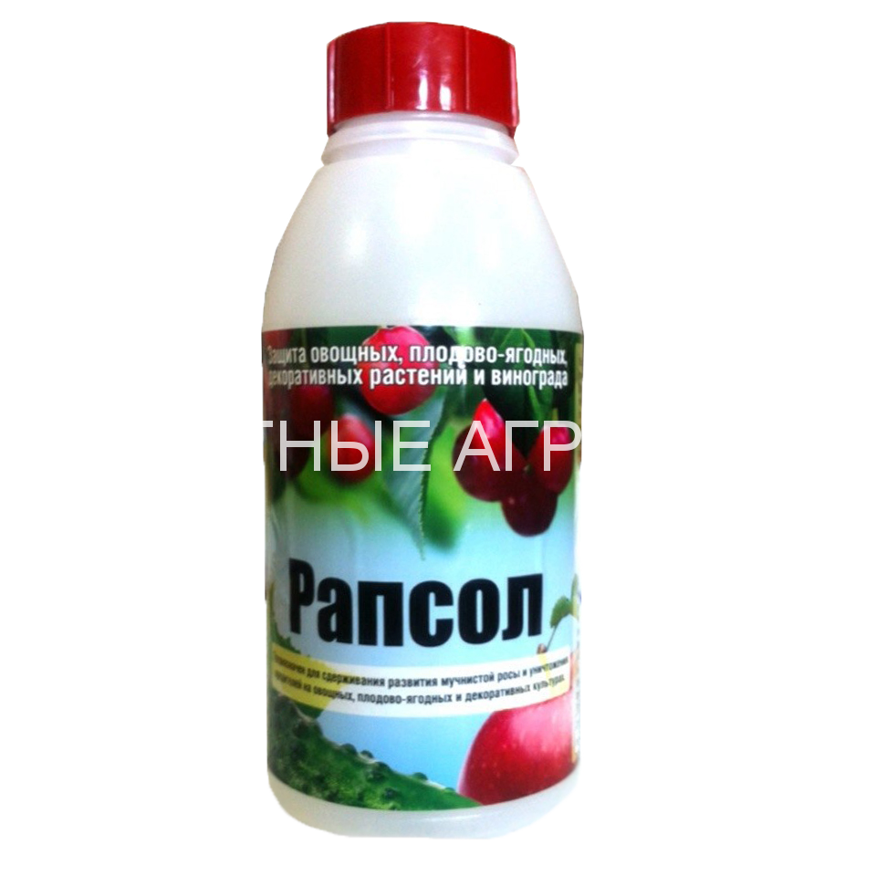 ÐÐ°ÑÑÐ¸Ð½ÐºÐ¸ Ð¿Ð¾ Ð·Ð°Ð¿ÑÐ¾ÑÑ ÑÐ°Ð¿ÑÐ¾Ð»