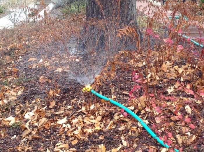 ff57d4ded6cdcf14628981c315c15795