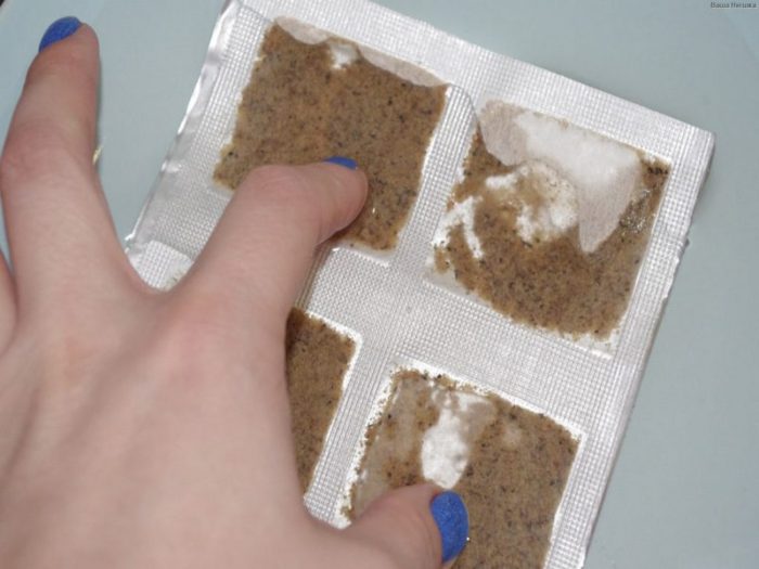 gorchichnik-1024x680