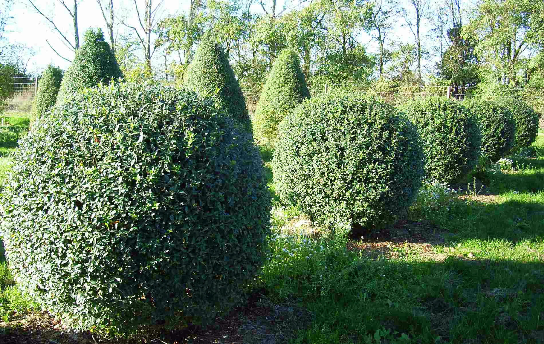 ÐÐ°ÑÑÐ¸Ð½ÐºÐ¸ Ð¿Ð¾ Ð·Ð°Ð¿ÑÐ¾ÑÑ Ð¤Ð¸Ð³ÑÑÐ½Ð°Ñ ÑÑÑÐ¸Ð¶ÐºÐ° Ð±Ð¸ÑÑÑÐ¸Ð½Ñ