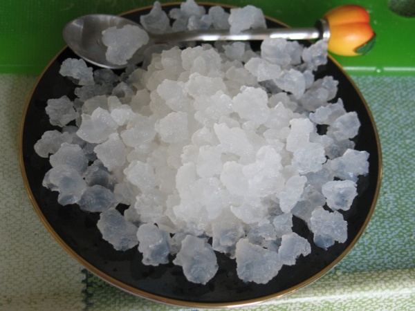 indiiskii-morskoi-ris