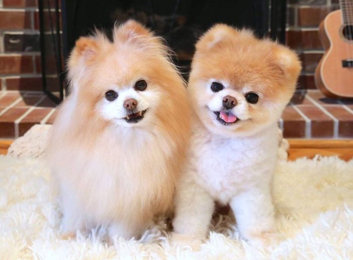 information_items_property_672