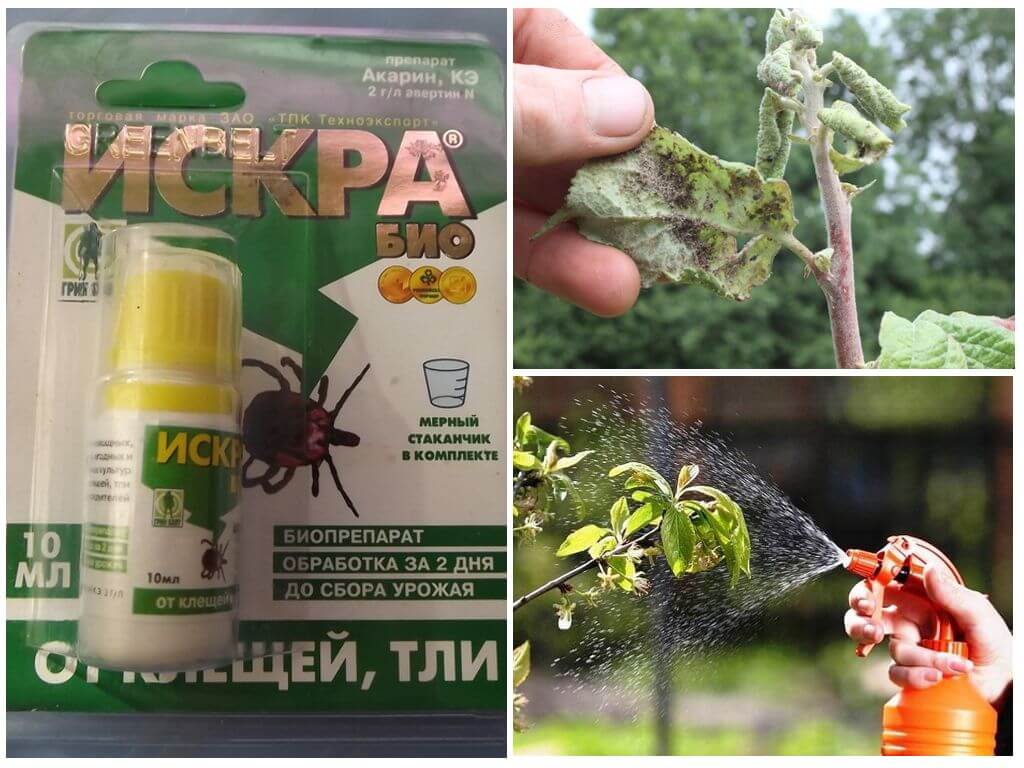 ÐÐ°ÑÑÐ¸Ð½ÐºÐ¸ Ð¿Ð¾ Ð·Ð°Ð¿ÑÐ¾ÑÑ Ð¾Ð¿ÑÑÑÐºÐ¸Ð²Ð°Ð½Ð¸Ðµ ÑÐ»Ð¸