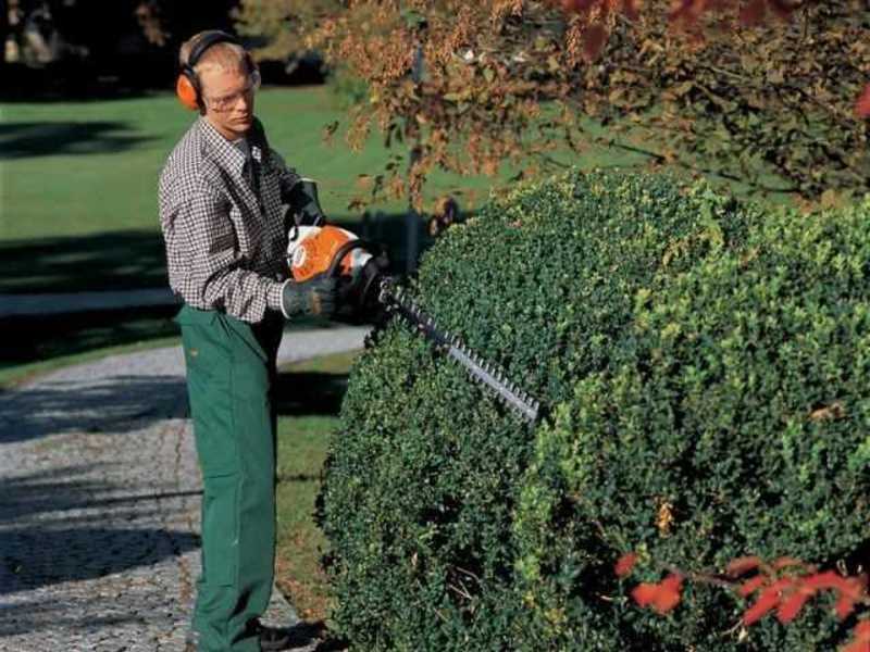 Картинки по запросу ножницы бензиновые для стрижки кустарников