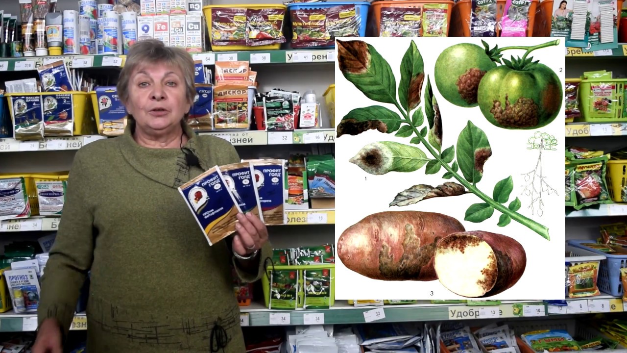 ÐÐ°ÑÑÐ¸Ð½ÐºÐ¸ Ð¿Ð¾ Ð·Ð°Ð¿ÑÐ¾ÑÑ ÐÑÐ¾ÑÐ¸Ñ Ð³Ð¾Ð»Ð´ Ð¾Ñ ÑÐ¸ÑÐ¾ÑÑÐ¾ÑÑ