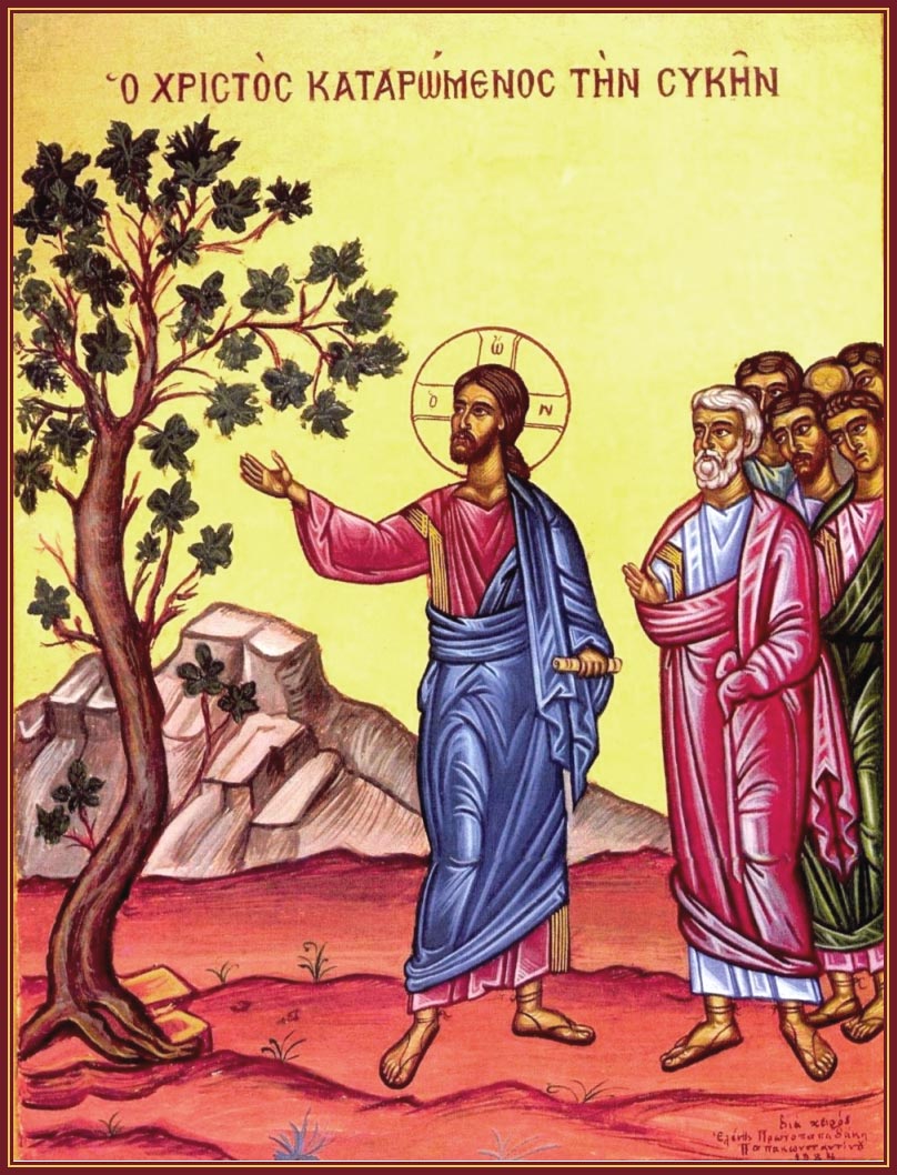 Картинки по запросу великий понедельник притча о смоковнице