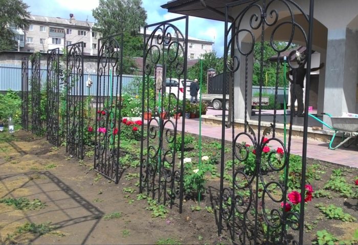 pergola_dlya_roz_26_25144714