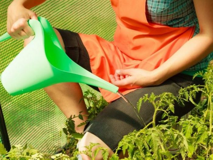 poliv-pishevoj-sodoj-600x450