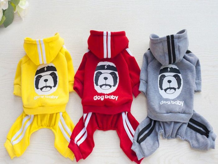 povsednevnyj-kostyum