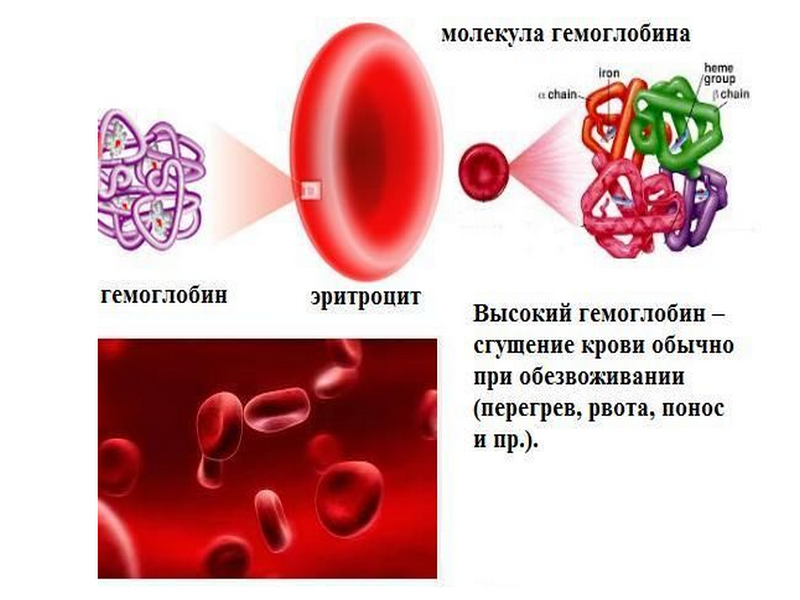 Низкий гемоглобин в крови у мужчин причины. Эритроциты и гемоглобин в крови. Повышение уровня гемоглобина в крови. Причина высокого гемоглобина в крови. Эритроциты гемоглобин железо.