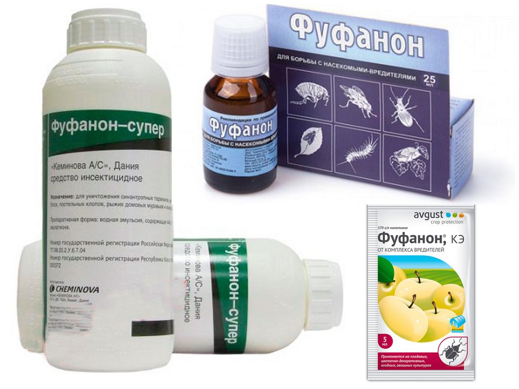 ÐÐ°ÑÑÐ¸Ð½ÐºÐ¸ Ð¿Ð¾ Ð·Ð°Ð¿ÑÐ¾ÑÑ ÑÑÑÐ°Ð½Ð¾Ð½