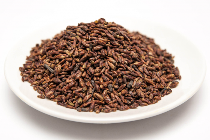 suhie-berezovye-pochki-1024x680