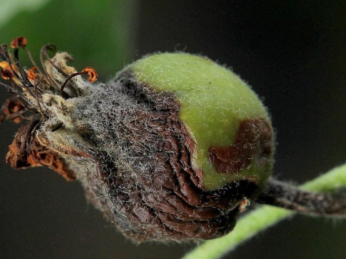 tretij-priznak-ozhoga