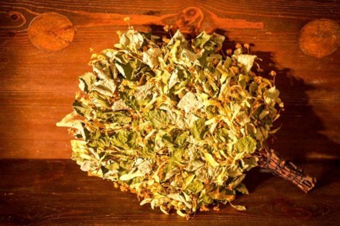 venik-lipovyj-1_5b69e753babdae0cd8cc7d9ddb39e5e4