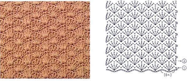 vyazanie-kryuchkom-uzor-rakushki-sxemy