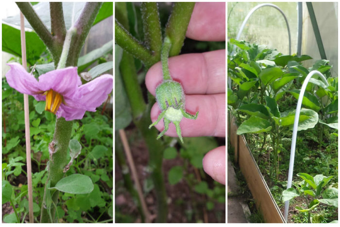 0_16cfaf_22f0e10b_orig