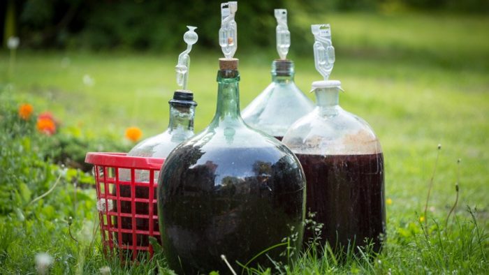 1498119239_domashnee-vino