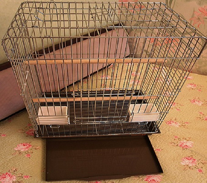 16471127_w640_h640_dsc03175