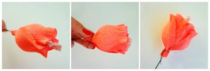 1ff7bd93-0c22-42ef-aab5-cf9eb0f14821