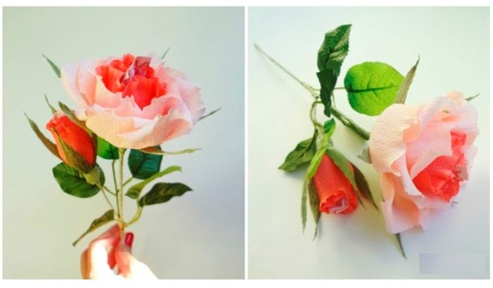 26a6e22f-defe-40f7-9648-b15ede5597e3