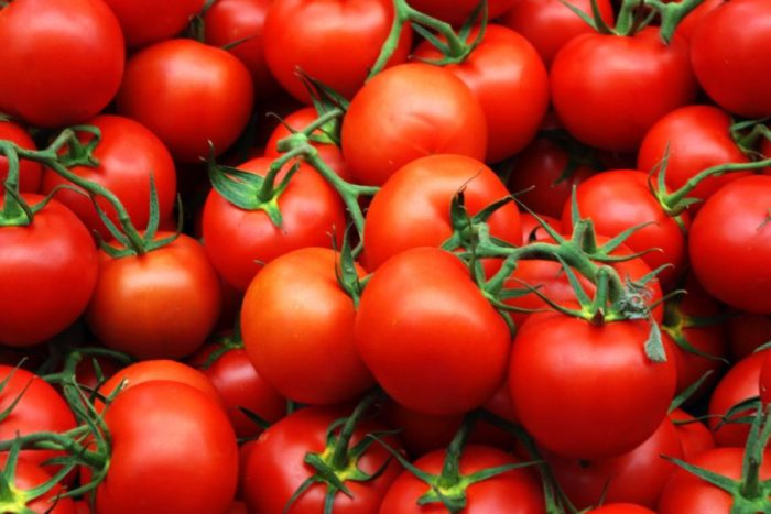 61fcadc4e41f48c55667c176ea5f8dee_xl