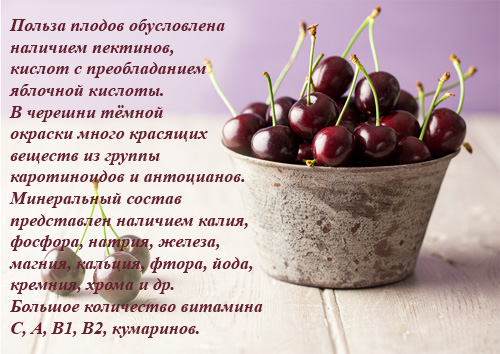 cherries_
