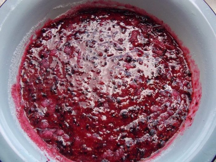 chyornaia_smorodina_protyortaia_s_saharom_04