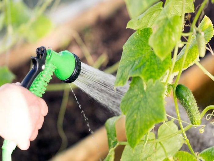 cucumbertips-hydrate-1000-1514911161