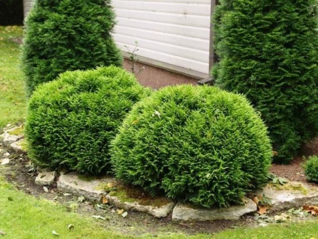 d82282b0844ccdae1f80a66e4ae3b5f1