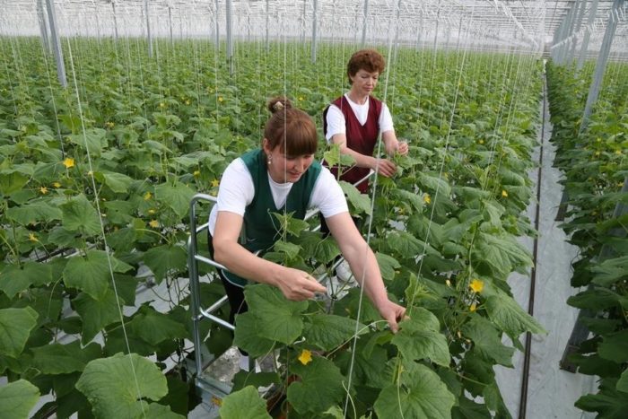 f_d3d3lnnkzwxhbm91bmfzlnj1l3vwbg9hzhmvny8wlzcwmjezotq5odgzntnfb3jpzy5qcgvnp19fawq9ndc5nda