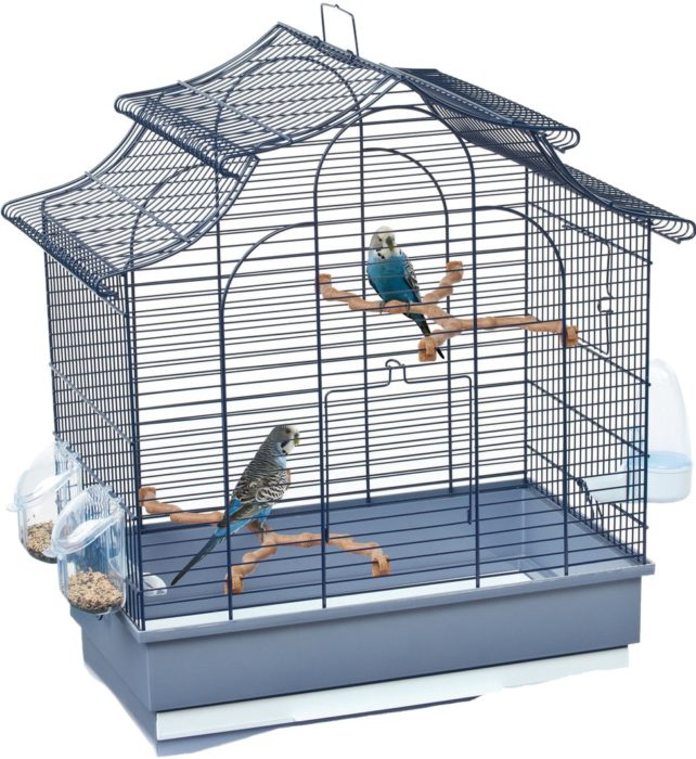 imac_8021799063559_images_1454787904