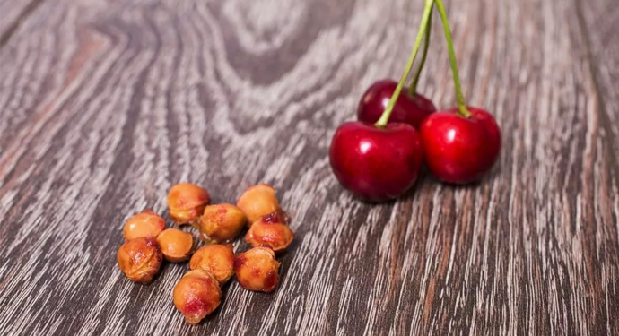 kostochki_i_3_cherechni