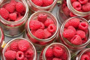 malina-bez-sahara-na-zimu-300x200