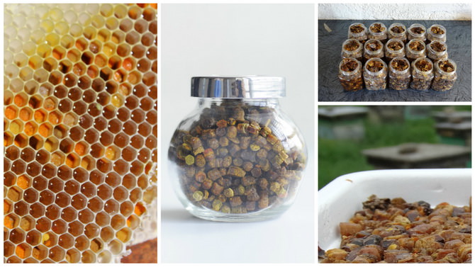 perga-dlya-muzhskogo-zdorovya