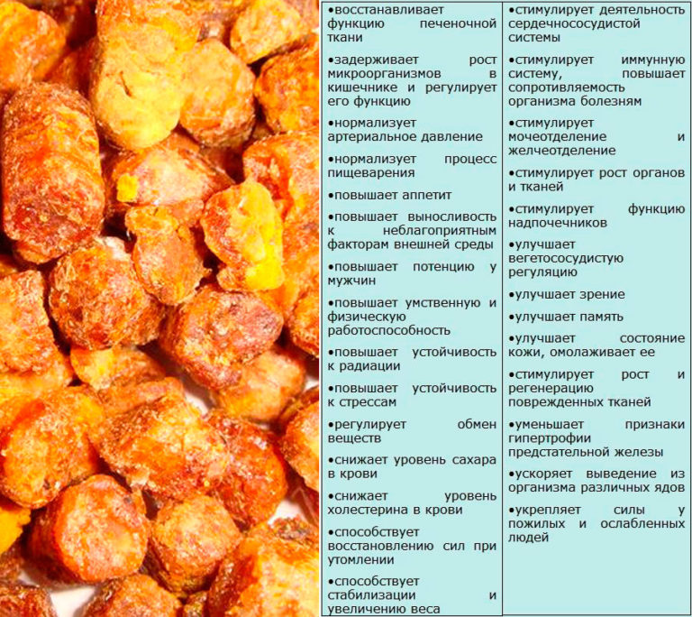 polezny-e-svojstva-pergi-768x684