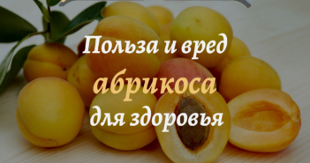 polza-i-vred-abrikosa