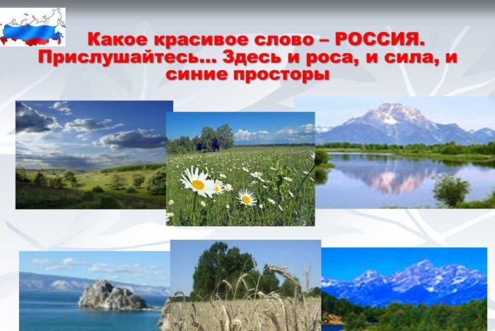 slide_3