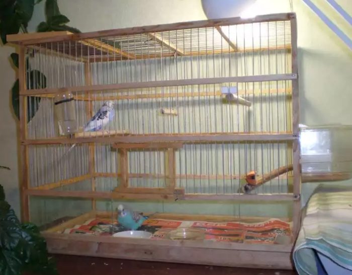 variant-bolshoj-kletki-dlya-volnistogo-popugaya