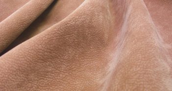 1_52551cc9e36ab52551cc9e36e8