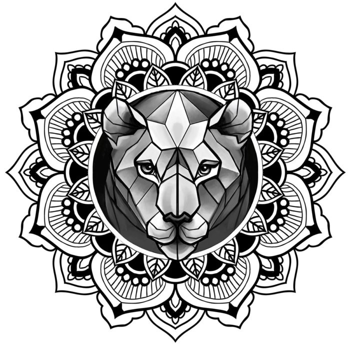 476429277a4618cb106f0b0721ac6fbe