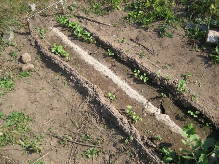 56277cdc4a1b126c21a8ecde1b9ec587