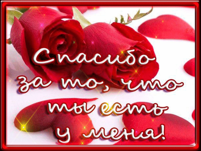 665efe14c5b2df8d72ed89628e4c2cb6