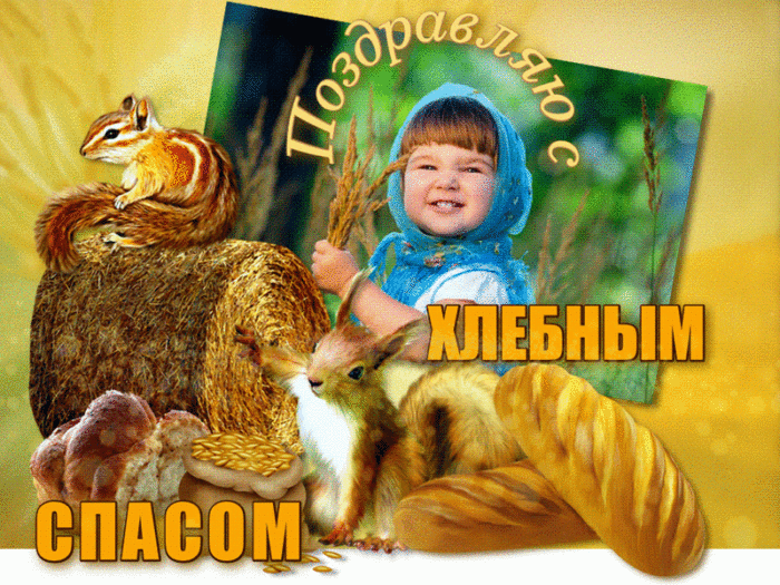 6d95441e2467c1cc3a634b8b823addc2-md