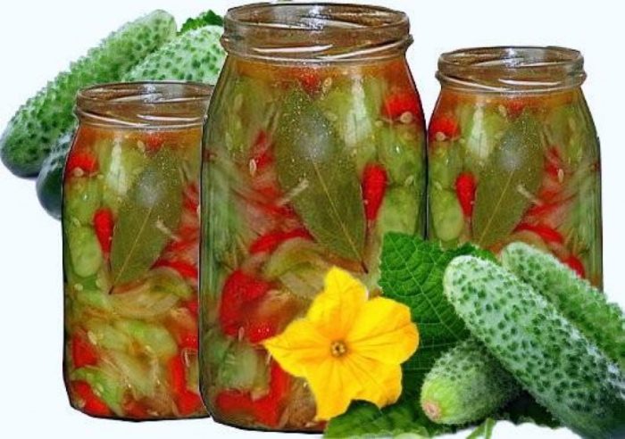 Огурцы салат заготовка на зиму рецепты: простые, вкусные