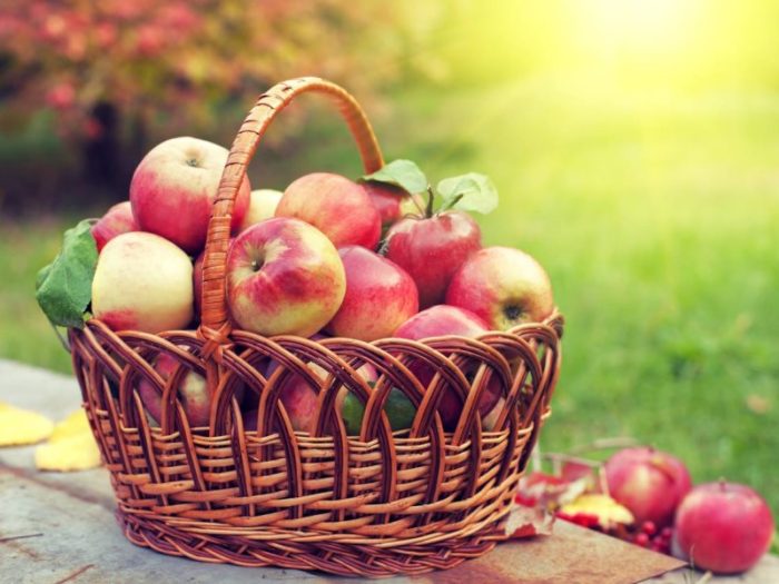 9a0c12b8-7c97-41c1-9665-f8f4567eb93a