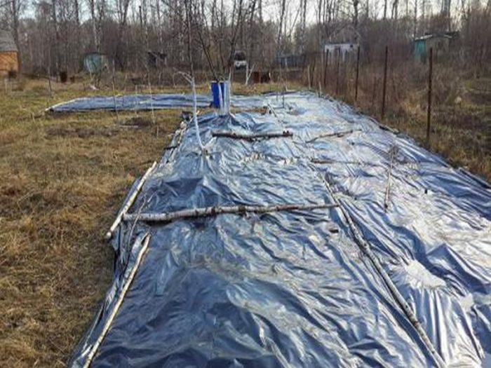 borshevik-yadrast-izbav-6-500x281