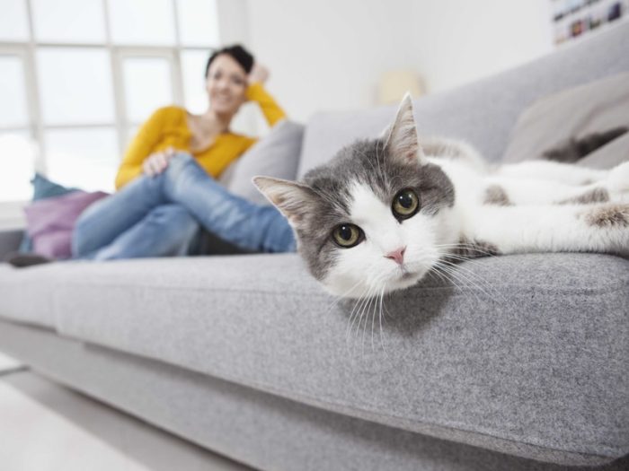 Germany, Bavaria, Munich, Mid adult woman with cat on couch, smiling