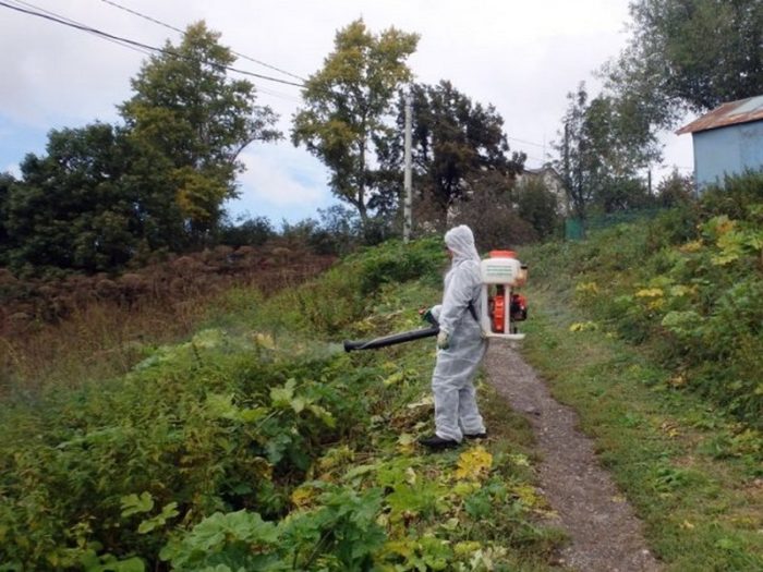 images-cms-image-000058229